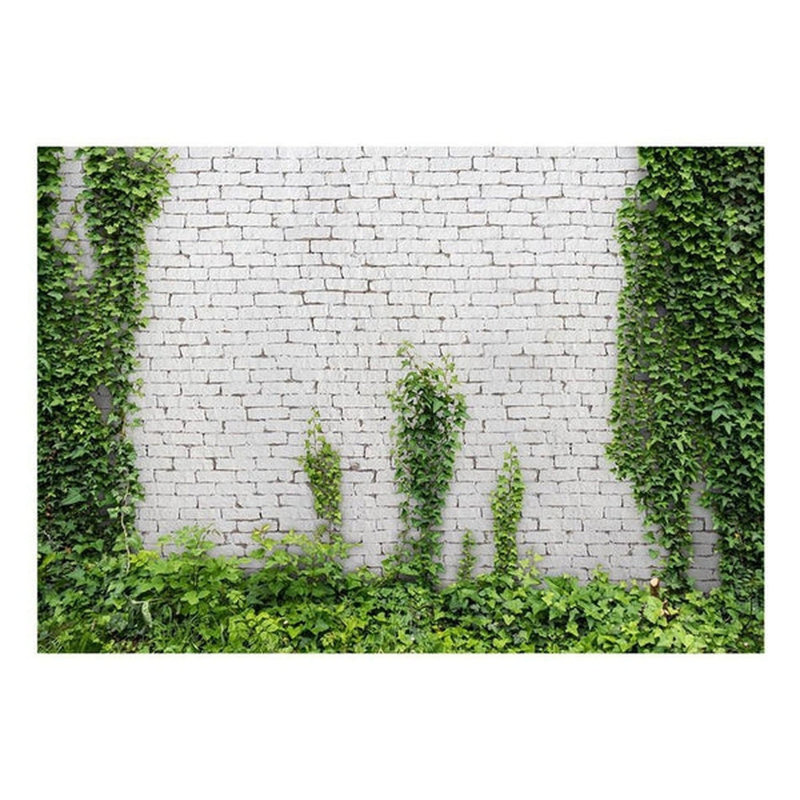 Murale brique blanche avec lierre, L 110 po x l 157 po