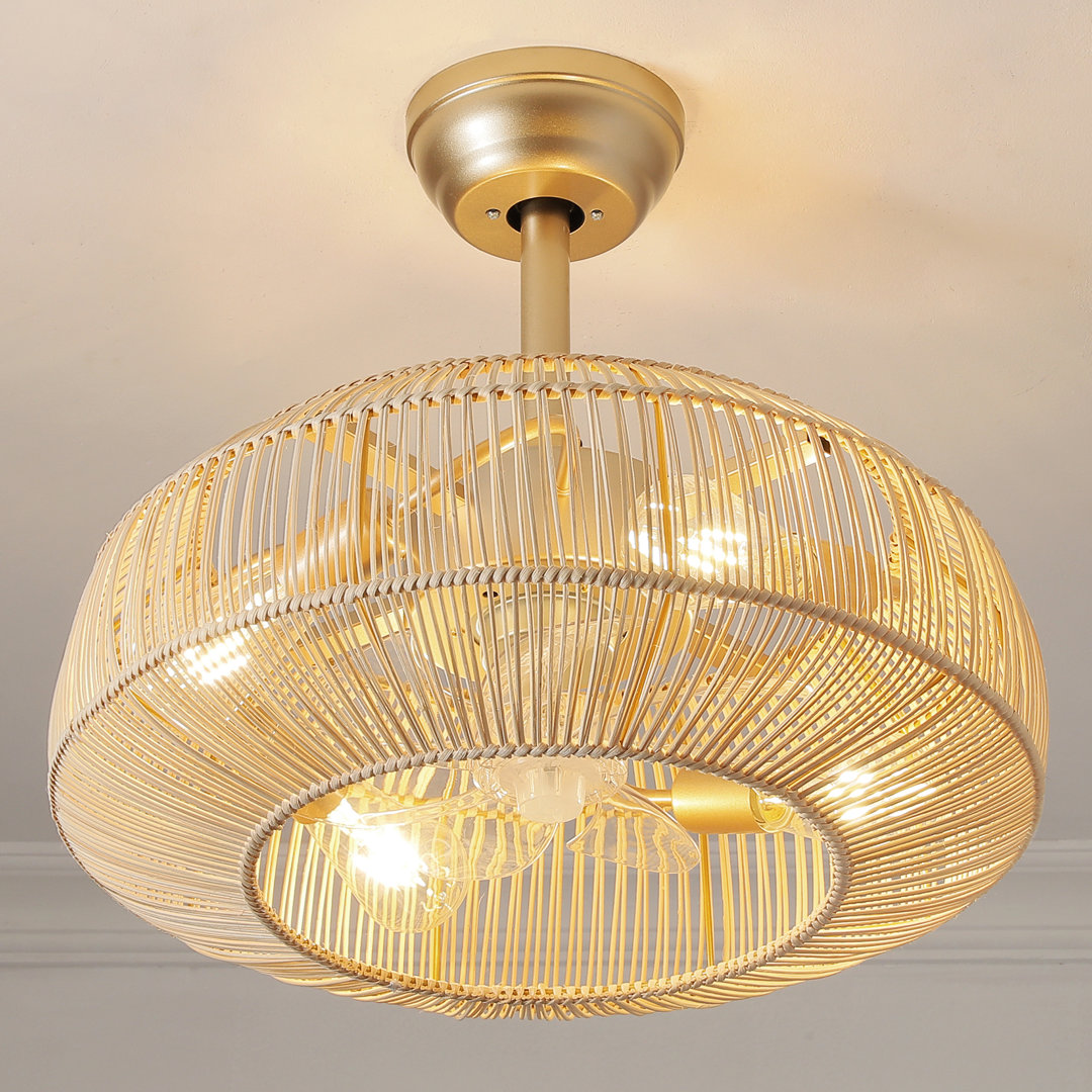 Artelia 20'' Ceiling Fan with Light Kit Bay Isle Home™