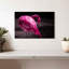 Magnifique flamant rose Brampt-107690018