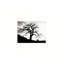 «Gnarled Old Tree Silhouette», art mural encastré en bois 16 x 20