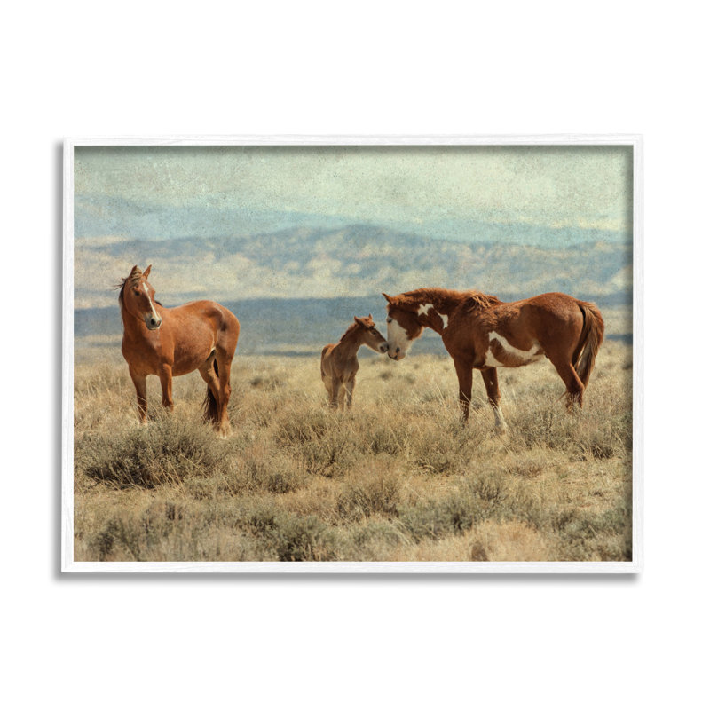 «Heartening Horse Foal Family Scenic Mountain Clouds» par Jan Walters - Photographie à cadre flottant sur bois