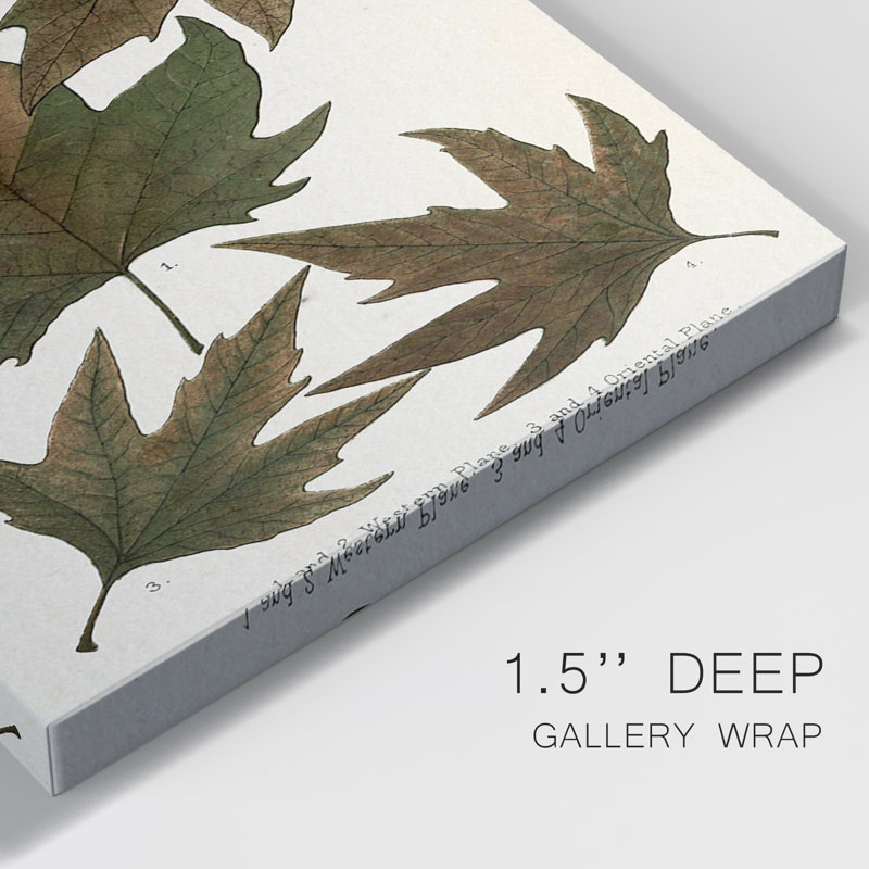 Autumnal Leaves IV - Ensemble de 3 peintures sur toile tendue, H 48 po x l 96 po x P 1 po