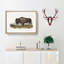 An American Bison by J.W. Audubon - Single Picture Frame Painting-55545048-55545053
