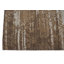 Tapis brun Amber