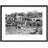 Cenarth, Sheep Dipping C1960 by Francis Frith - Single Picture Frame Print-51330326