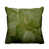 Chartreuse/Gold