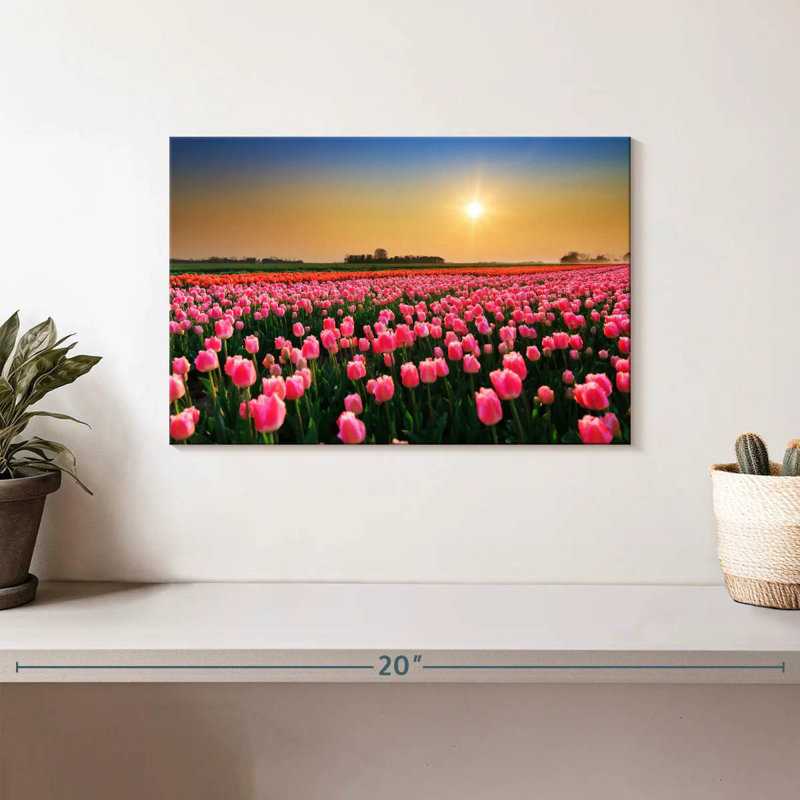 Champ de tulipes Alvord Pays-Bas, H 8 po x l 12 po