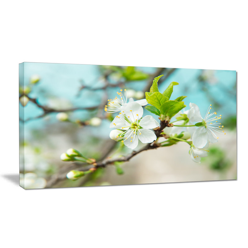 Beautiful Cherry Blossom n Spring - Reproduction de photo sur toile tendue, H 16 po x l 32 po x p 1 po