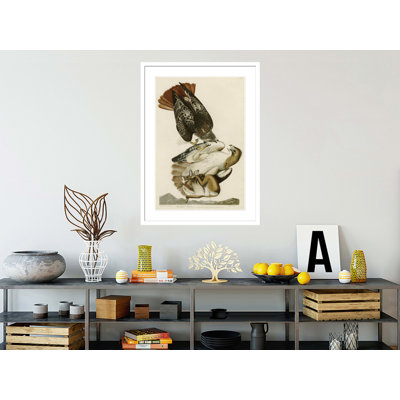 Red-Tailed Hawk by John James Audubon -Framed Giclee Print