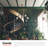 Luanda 6-Light Chandelier-66310795