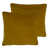 Ochre selected
