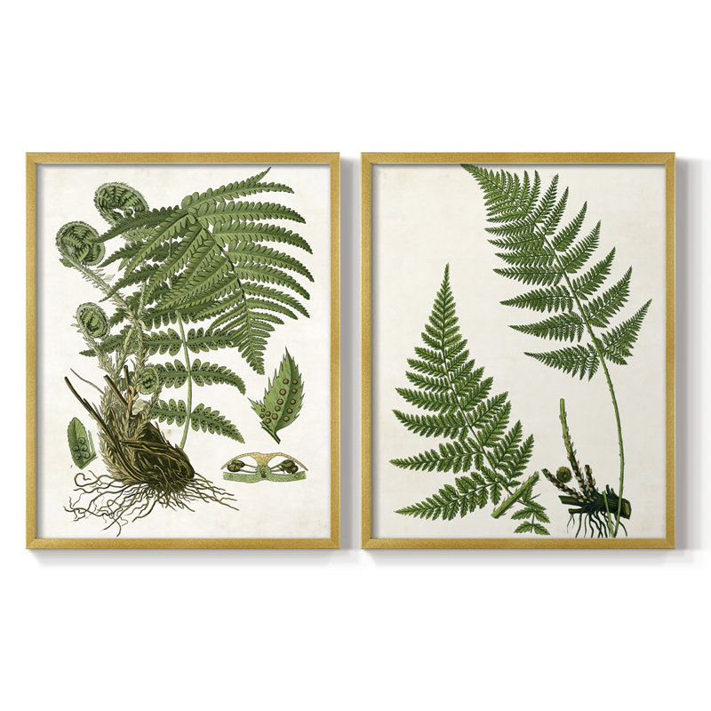 Impression encadrée Fern I-Premium - prête à être accrochée - aucun clou requis - aucun clou requis, Doré, H 21 po x l 34 po