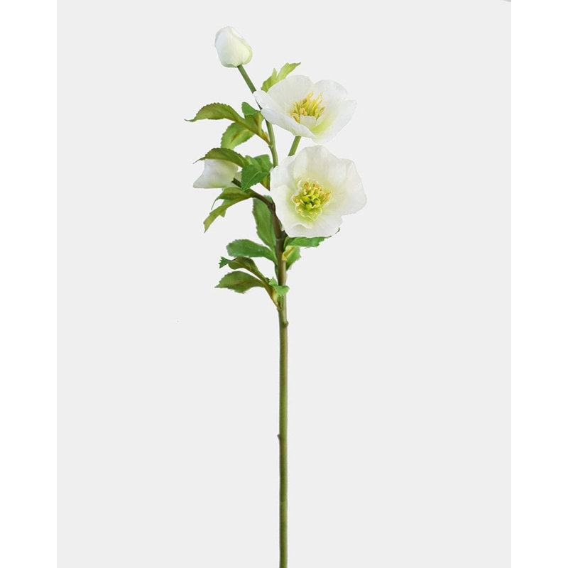 Real Touch Mauve rose Hellebore 18 po, Pink/Mauve