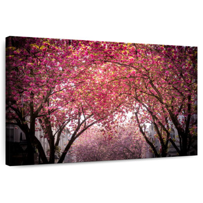 Harnek Cherry Blossom Scenery