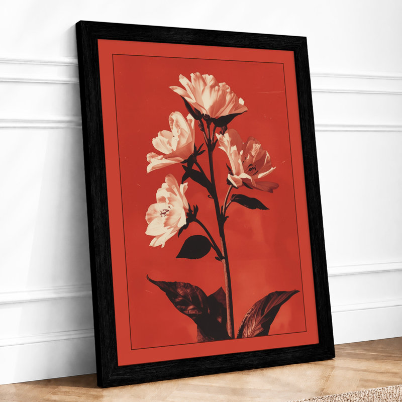 Flowering Plant Study Botanical - Framed Print, A3 - 42.0 x 29.7 cm, Black