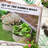 2 Galvanized Raised Garden Beds, Cream. Outdoor Planters. Easy Assembly For Flower, Herb, And Vegetable Planting. Steel, 23.5" Diameter X 11.94" Height Bed  2 , White Secure Edging Gardening.