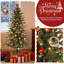 182.88' H Lighted Christmas Tree