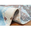 Motif de nature captivante Tranquil Moonlit