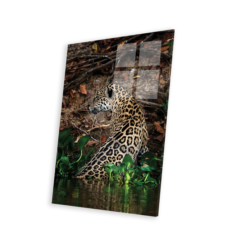 Jaguar Print On Acrylic Glass
