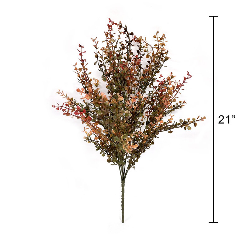 Delphinium rouge pour bébé