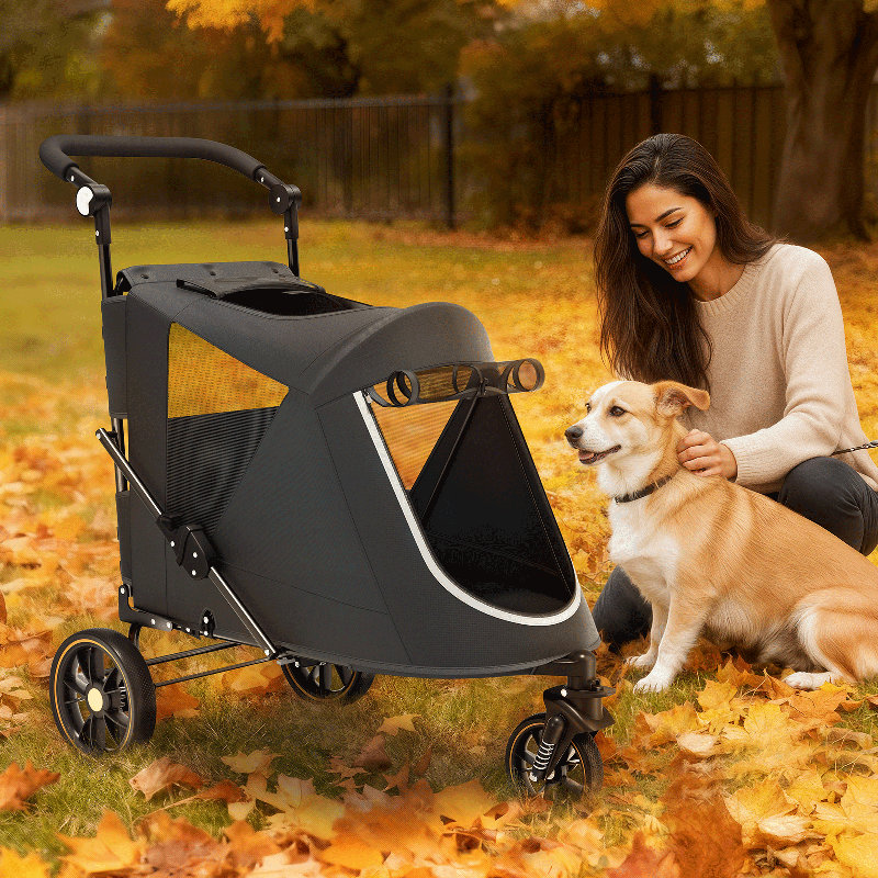 Chariot de transport pliable 3 roues, Noir