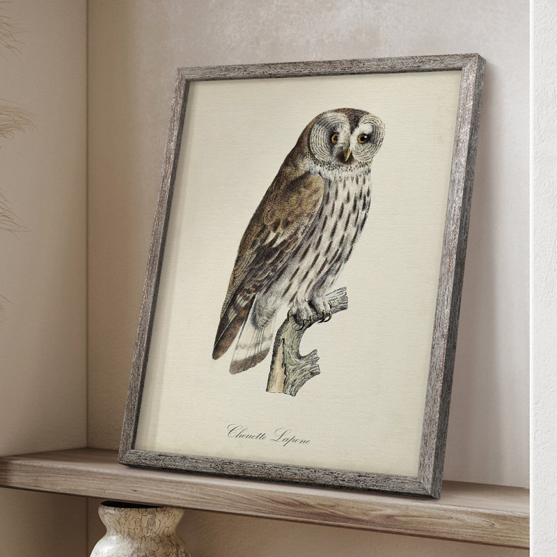 «French Owls III», reproduction encadrée - bois massif, H 30 po x l 24 po