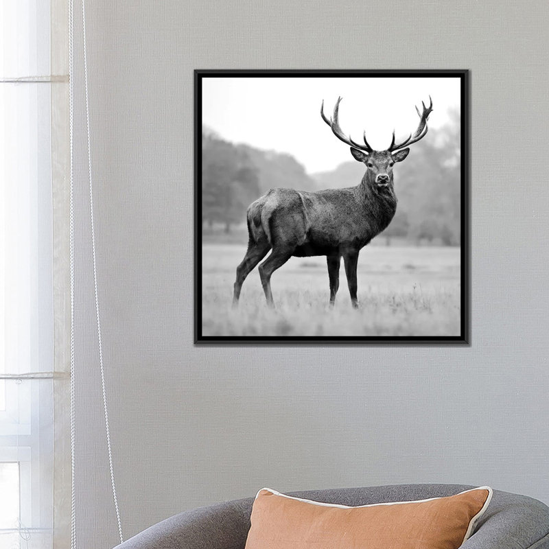 Proud Deer par PhotoINC Studio - reproduction de photo sur toile tendue, H 12 po x l 12 po x P 1,5 po, Pas de tapis