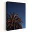 Warm Tropical Palm Sky Organic Peaceful Serene Palm Tree Nature Summer Wall Art Print 1 Piece Wrapped Canvas Wall Art-22348595