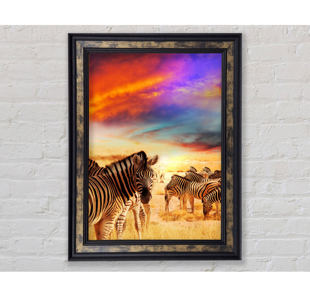 Poster Stunning Zebra Skies