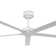 Agasthya 152cm Ceiling Fan
