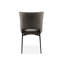 Brodyn 48cm H Polyester Upholstered Side Chair