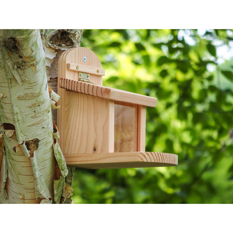 Ardos Squirrel Feeder