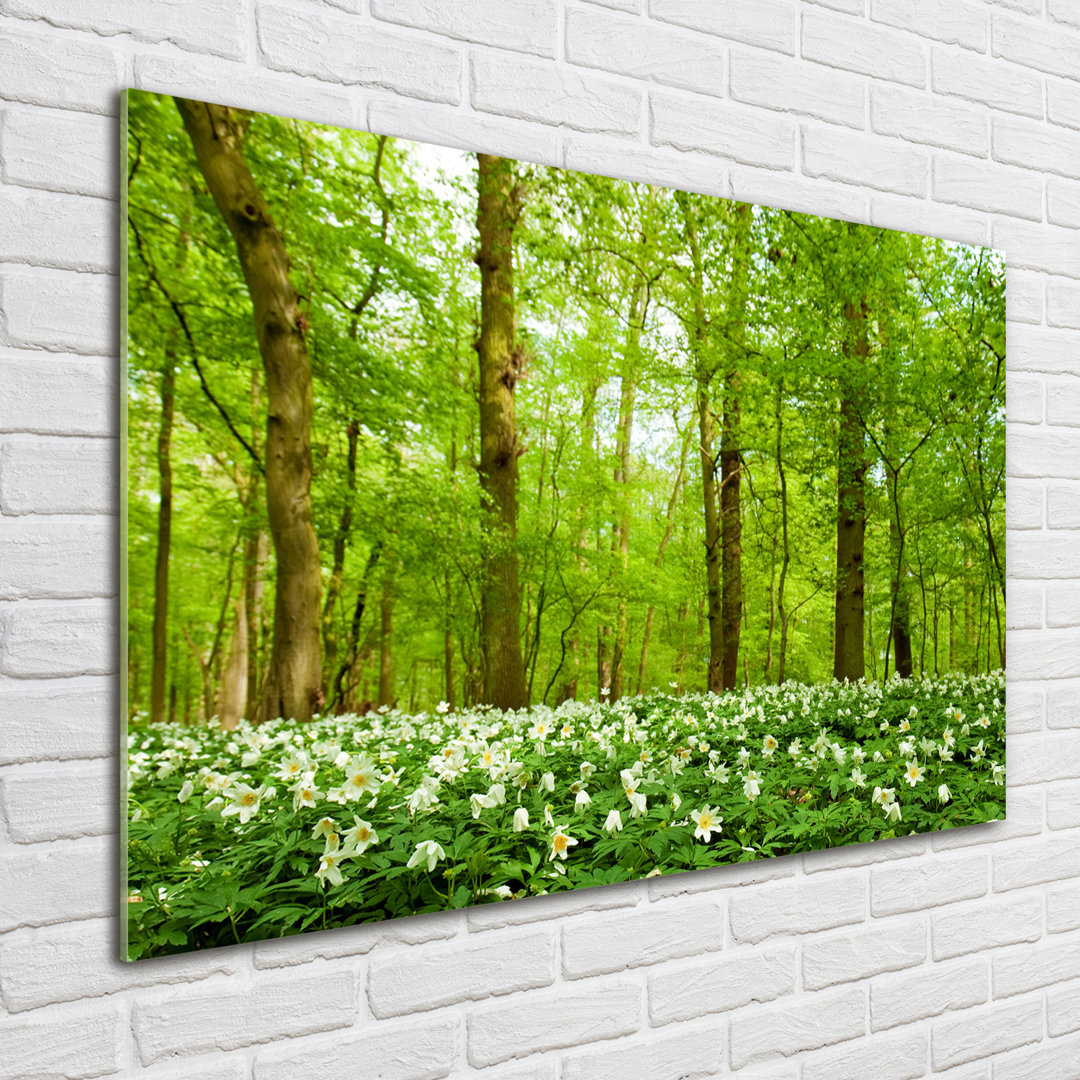 Glasbild Blumen im Wald