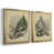 Gold Framed Paper is unavailable