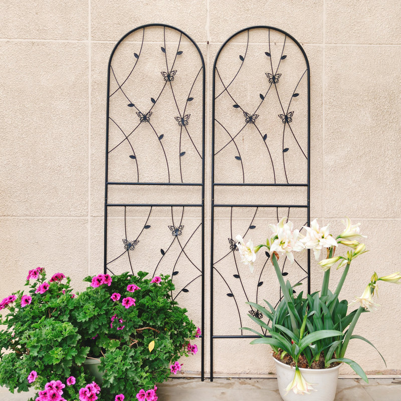71'' H x 19.7'' W Iron Fan Trellis