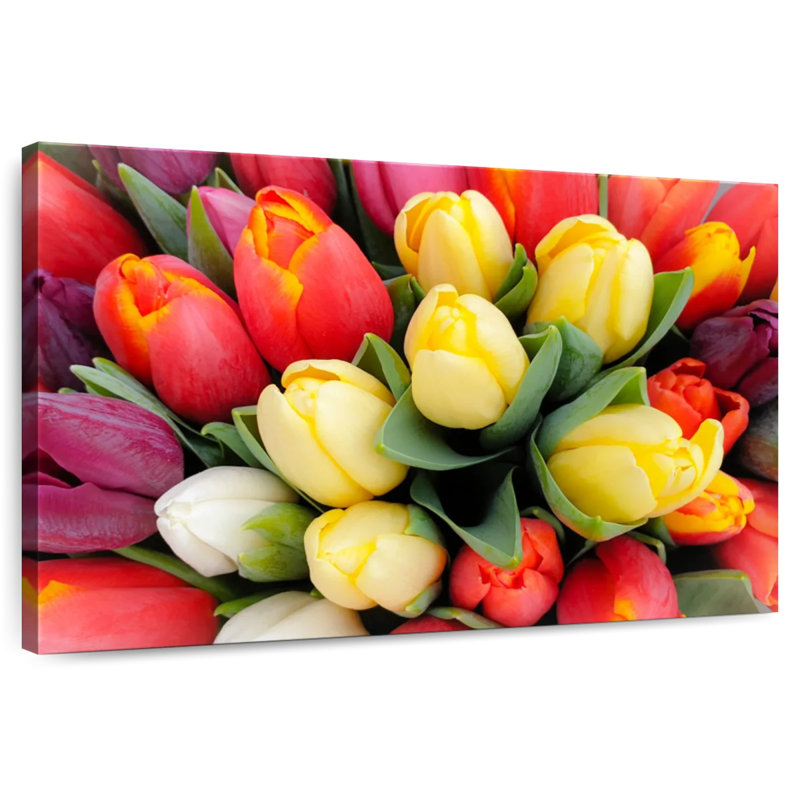 Harnek Vibrant Spring Tulips, 34" H x 51" W