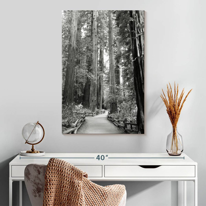Alvord Tree Path I, H 30 po x l 20 po
