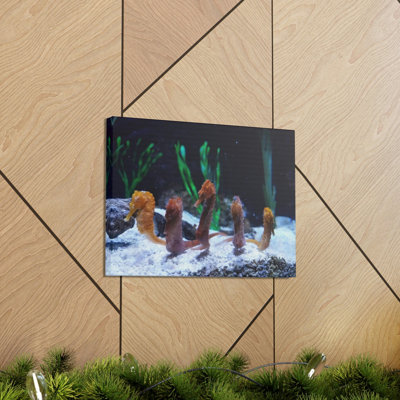 «An Organized Line of Seahorse Group», impression d'art animalier mural