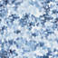 Arcus Blue