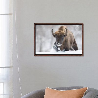 Rewilded 1 Piece Wall Art on Canvas