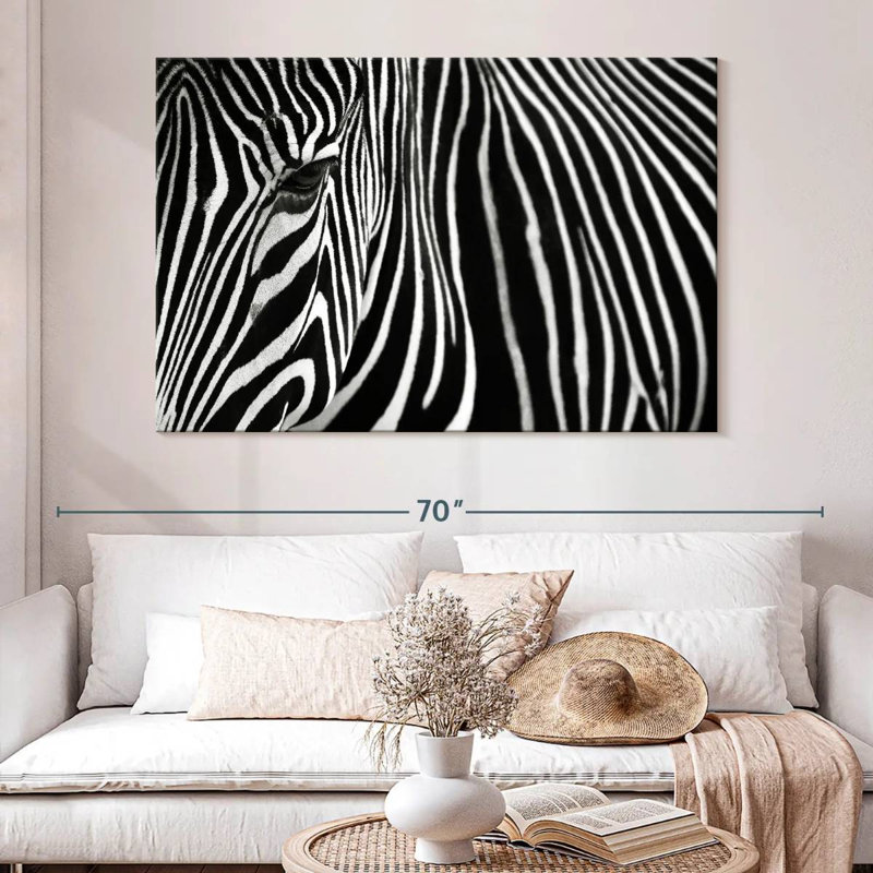 Brampt Zebra In Lisbon Zoo, 34" H x 51" W
