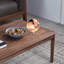 Table basse simple en noyer noir