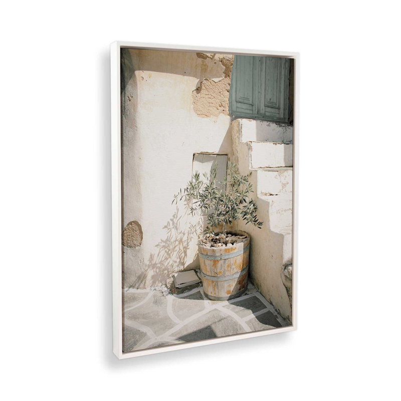 «Olive Tree in the Sun», reproduction sur toile, H 18,75 po x l 12,75 po x P 1,75 po, Cadre flottant blanc opaque
