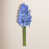 Blue is unavailable