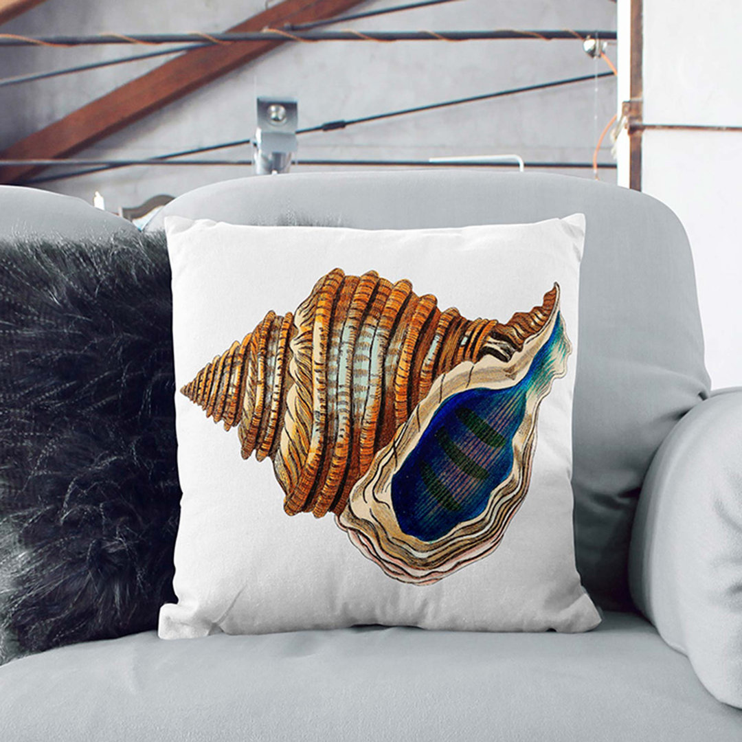 Seashell by George Shaw Cushion with Filling
