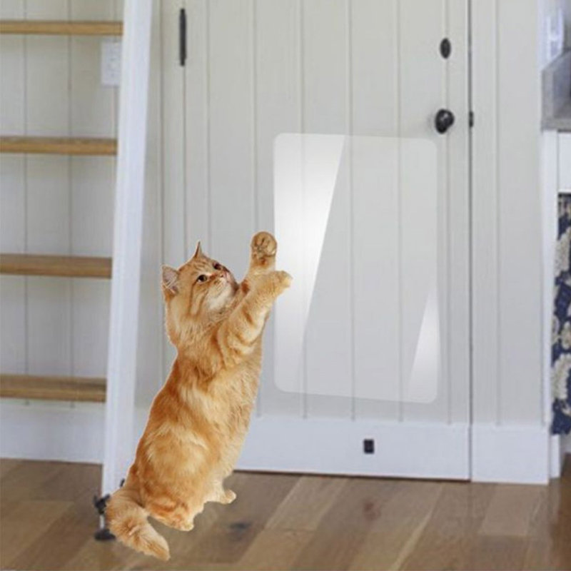 Ruban adhésif anti-griffes pour chat 2 bandes