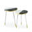 Vallejo Marble Top Nesting Tables End Table