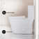Dreux One Piece Elongated Dual Flush Toilet with 0.95/1.26 GPF