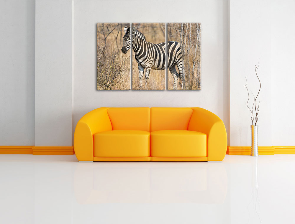 3-tlg. Leinwandbilder-Set „Einsames Zebra“, Fotodruck