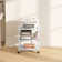 Olias 52.5cm H x 50cm W Printer Stand with Wheels